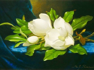 Rätsel «Magnolia»