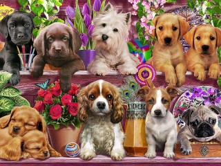 Jigsaw Puzzle «Little puppies»