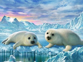 Пазл «Little seals»