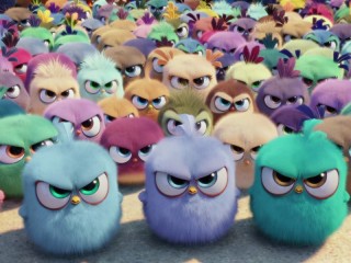 Quebra-cabeça «Little Angry Birds»