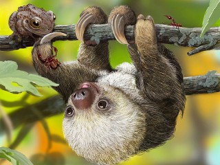 Jigsaw Puzzle «Little sloth»