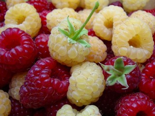 Rätsel «Raspberry»