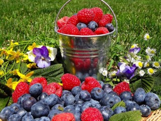 Jigsaw Puzzle «Raspberry and blueberry»