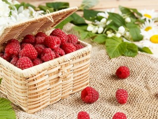 Jigsaw Puzzle «Raspberries in the basket»