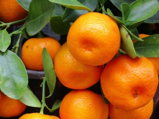 Jigsaw Puzzle «Tangerines on a branch»