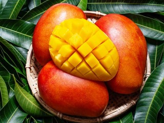 Пазл «Mango»