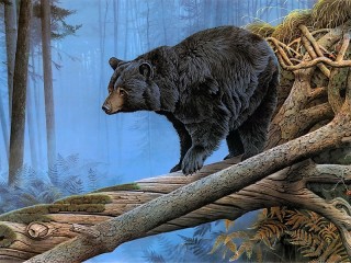 Пазл «Bear»