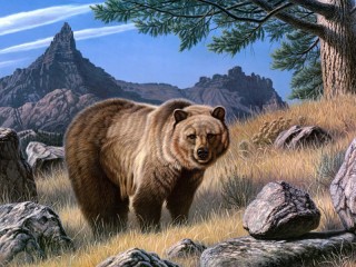 Quebra-cabeça «Grizzly bear»