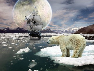 Rompecabezas «Bear on an ice floe»