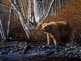 Пазл «Медведь у реки»