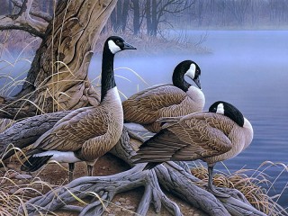 Jigsaw Puzzle «Resting»