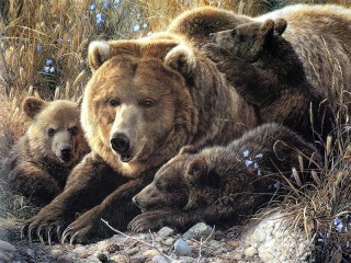 Puzzle «Bears»