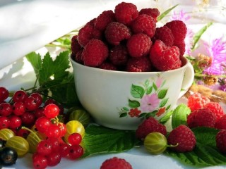 Пазл «Bowl with raspberry»