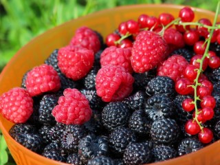 Jigsaw Puzzle «Bowl with berries»