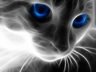 Slagalica «Mystical cat»