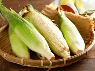 Jigsaw Puzzle «young corn»