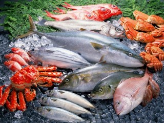 Jigsaw Puzzle «Seafood»