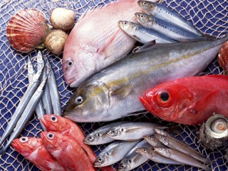 Jigsaw Puzzle «Seafood»