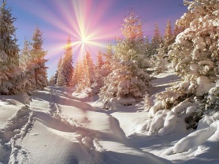 Jigsaw Puzzle «Frost and sun»