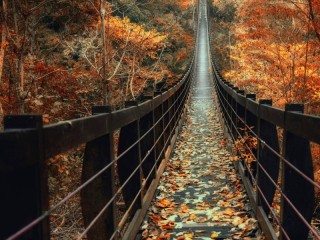 Пазл «Мост через осень»
