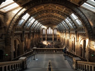 Jigsaw Puzzle «Natural History Museum»