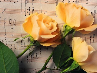 Пазл «Музыка и розы»