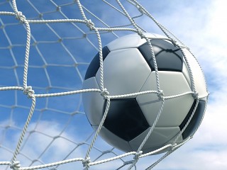 Jigsaw Puzzle «The ball in the net»