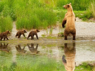 Пазл «On a walk with mom»