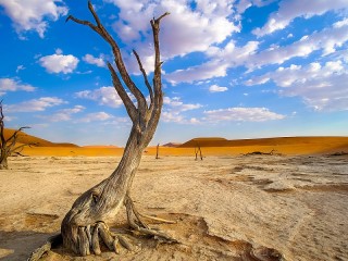 Quebra-cabeça «Namibia»