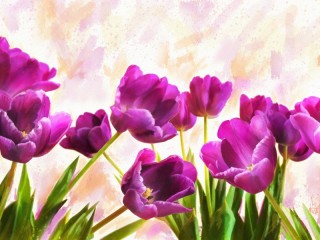 Пазл «Нарисованные тюльпаны»