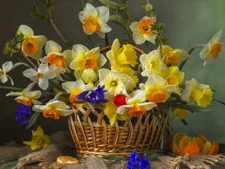 Пазл «Daffodils»