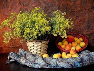 Jigsaw Puzzle «Still life with apricot»