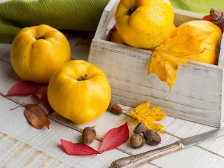 Jigsaw Puzzle «Still life with quince»