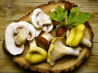 Quebra-cabeça «Still life with mushrooms»