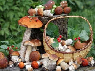 Puzzle «Still life with mushrooms»
