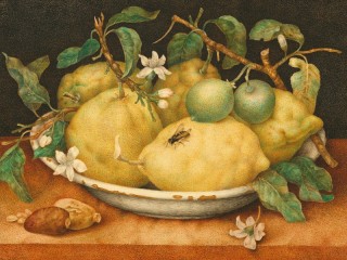 Puzzle «Still life with lemons»