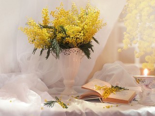 Jigsaw Puzzle «Still life with Mimosa»