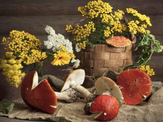 Пазл «Still life with fly agaric»
