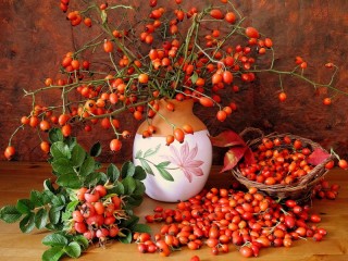 Слагалица «Still life with rose hips»