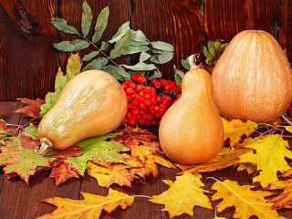 Jigsaw Puzzle «Still life with pumpkins»