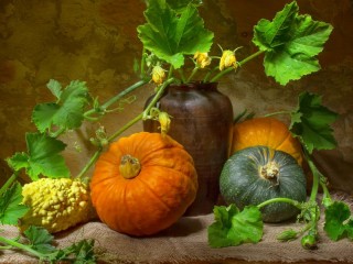 Quebra-cabeça «Still life with pumpkins»