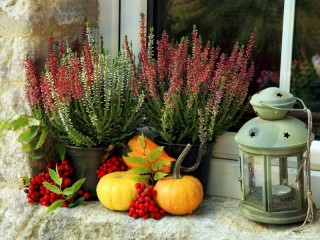 Jigsaw Puzzle «Still life with heather»