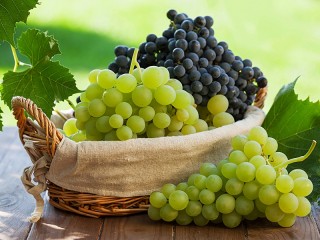 Jigsaw Puzzle «Still life with grapes»