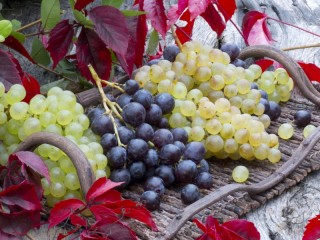 Jigsaw Puzzle «Still life with grapes»
