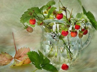 Bulmaca «Wild strawberry»
