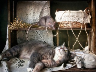 Jigsaw Puzzle «Don't Wake the cat»
