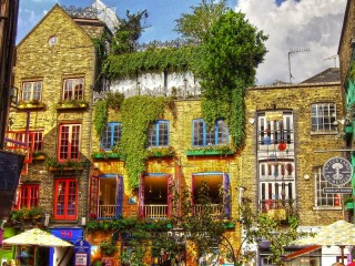Puzzle «Neal's Yard»