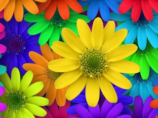 Jigsaw Puzzle «Neon camomiles»