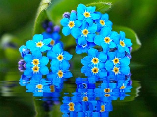 Puzzle «Forget-me-nots on the water»