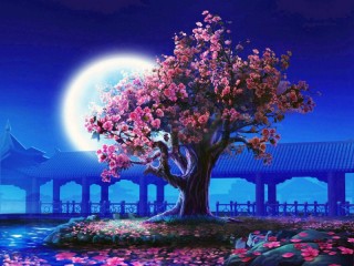 Rompecabezas «Night sakura»